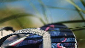Flip Flops with flamingos on the Beach. Sand and Ocean on the Sunny day.