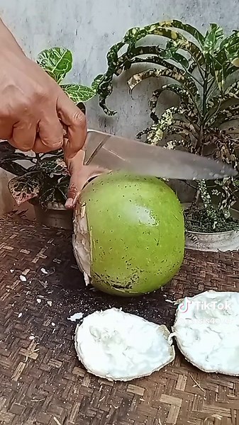 Exploring the Health Benefits of Calabash Fruit