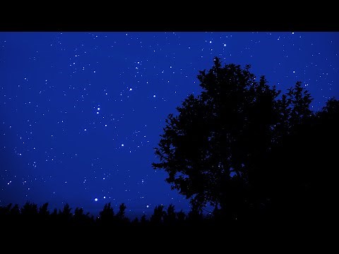 Crickets Chirping Under a Starry Night - Soothing Nature Sounds for Sleep & Relaxation - 10 Hours