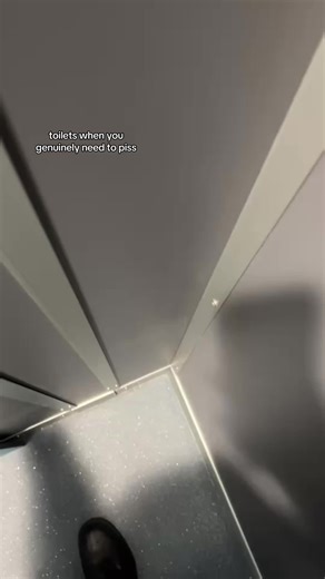 The Struggle of Finding a Toilet When You're in Need