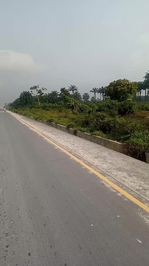 For Sale! 500 plots off East-West road (trailer park axis) and directly of the new Cargo Lane, Ebubu, Eleme, Rivers State. Asking Price - 3.5m/plot Title - Native | Obele Joseph Jnr