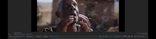 Beginner's Guide - Part 7 - Timeline Colour Management in Flame