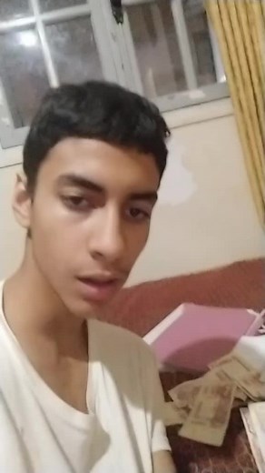 Currency Collection Showcase in a Cozy Setting