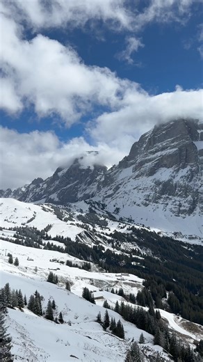 42K views · 1.7K reactions | Experience the thrill ️ Although the...