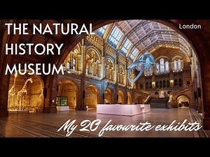 The Natural History Museum, London - My 20 favourite exhibits.