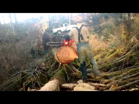 Husqvarna 455 rancher muffler mod