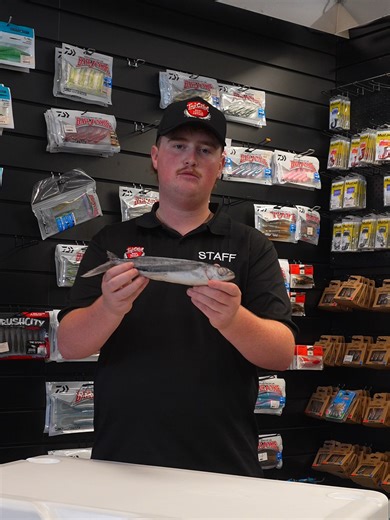 Discover New Flying Fish Bait for Game Fishing