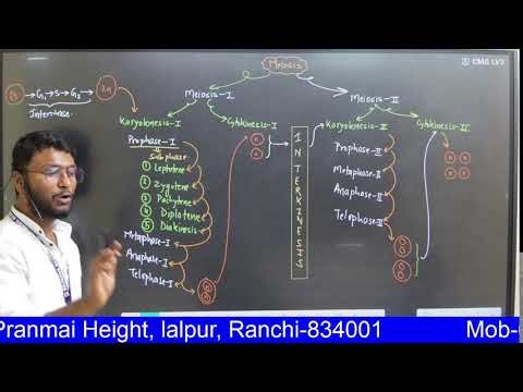 Cell Cycle & Cell Division (Mitosis) Chapter|Class 11 Biology | NEET 2027 | NCERT One Shot Revision