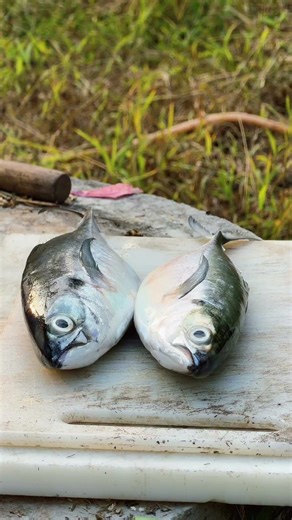 Nadan Vibe... No Compromise! #viral #malayalam