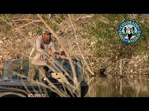 Fly Fishing Colorado - May - Wipers