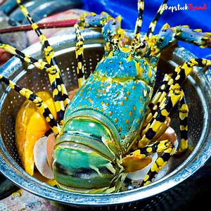 7.5M views · 198K reactions | This Bornean fish market has the most exotic seafood beyond your wildest imagination... | Chopstick Travel | Facebook