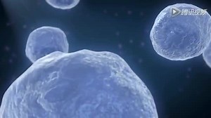 ThePI3KSignalingPathway_高清1080P在线观看平台_腾讯视频