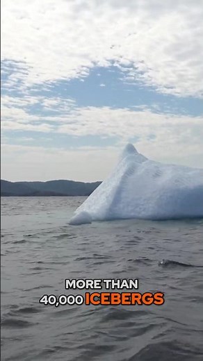 The Amazing Journey of Greenland's Icebergs to Newfoundland and Labrador!