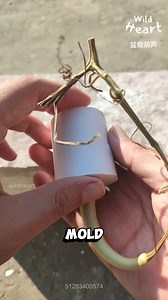 639K views · 9.2K reactions | Living Plant Sculpture Reveal #plantmolding #gourdart #livingart #gardencraft #growdesign | Wild Heart | Facebook