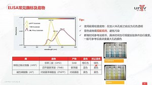 详解版实验教程：ELISA有手就会！