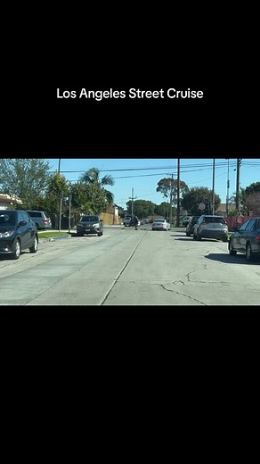 Los Angeles Street Cruise #losangeles #california