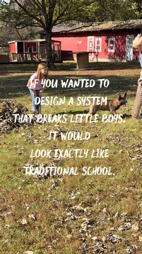 Virginia's One-Room Red Schoolhouse on Instagram: "Boys aren’t “behind' or a "problem." They’re being trained in an environment that’s misaligned with how many of them develop. Most classrooms are optimized for: • long sitting • heavy verbal instruction • constant impulse suppression • minimal movement But many boys regulate through movement. When they can’t move, stress rises, attention drops, and then they get labeled instead of understood. This isn’t “lowering standards.” It’s upgrading the e