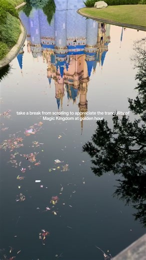 Discover Tranquility at Disney's Magic Kingdom