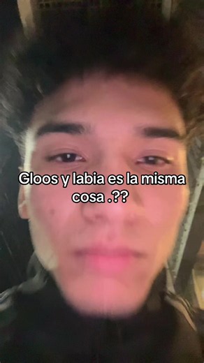 ¿Gloos y labia es la misma cosa? Explicación corta