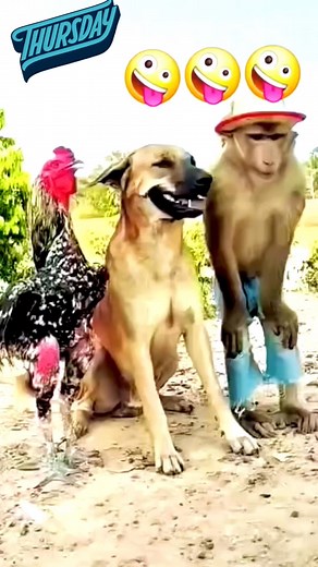 2.7K views · 18 reactions | Smile please. #funny #funnyreels #fun #entertainment #foryou | OMAR FARUK 01 | Facebook