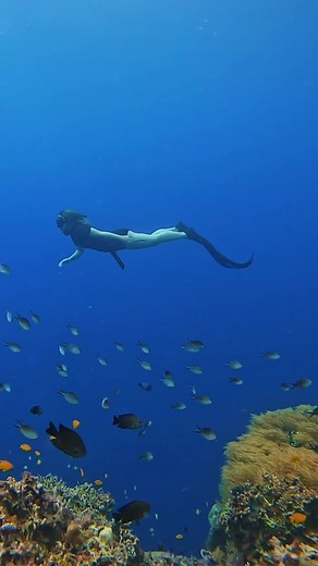 As a beginner 🥹 #freedivinggirl #freedivingbeginner #freedivingph