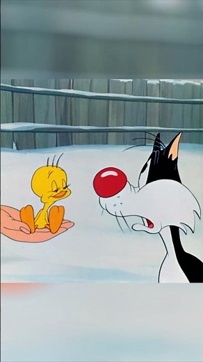 POV: Your first date goes wrong… poor Tweety! | Looney Tunes | Boomerang UK