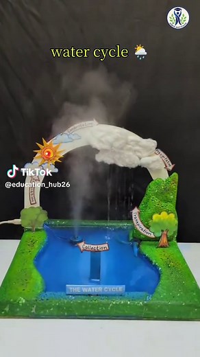 Water Cycle Explained: Rain and Droplets