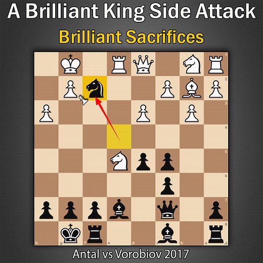 49K views · 1.4K reactions | A Brilliant King Side Attack | Antal vs Vorobiov 2017 | Kings Hunt | Facebook