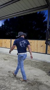 EL VIENTO NEGRO 🔥🌪️ @mrs.ranchomc_official Disponible para sus yeguas ……envíos a todos USA 🇺🇸 y México 🇲🇽….. mas información (817) 673-8322 ☎️ Y PARA PHOTOSHOOTS CON EL VIENTO NEGRO 📸 817-899-0447 @mrs.ranchomc_official | Rancho MC Friesians