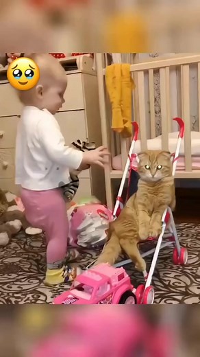 Delphe Giraudon on Reels