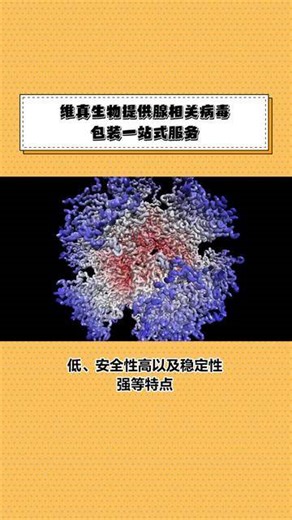 腺相关病毒包装技术