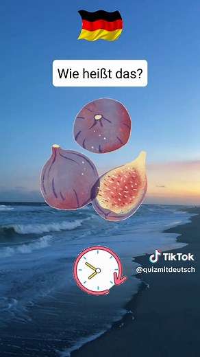 Deutsch Lernen für Anfänger: Tipps und Vokabeln