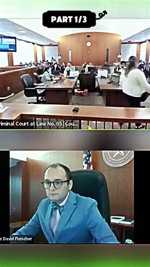 Courtroom Drama: Insights into Legal Proceedings