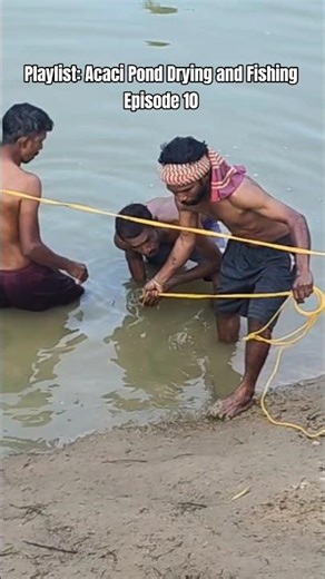 Fishermen fight the cold while floating the fishing net !