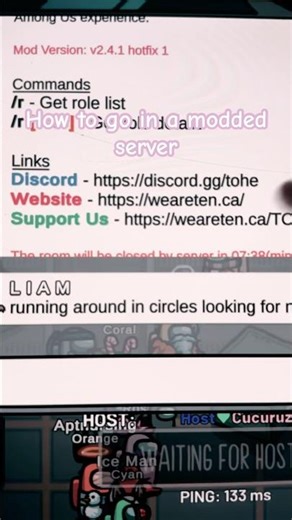 How to go in a modded server