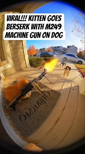 Doorbell Cam Catches Cat With a M249 Machine Gun! 😹💥 Funniest Cat Security Ever! #catshorts