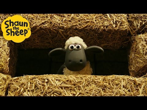 Hay House 🐑 Shaun the Sheep 🐑 - Cartoons for Kids 🐑 Full Episodes Compilation [1 hour]