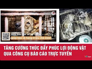 Tăng cường thúc đẩy phúc lợi động vật qua công cụ báo cáo trực tuyến | VTV24