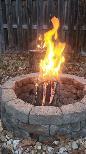 Swedish fire log and camp stove in the back! #outdoors #camping #shorts #fire #bushcraft #adventure