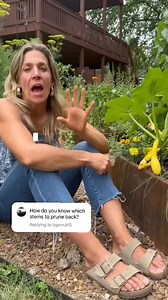 If you love tips like this, you’ll love the Gardenary seasonal planner Each day there’s instructions on what to do to keep your garden growing and producing Plus there are calendar pages, weekly planning pages and habit trackers Comment HOT and I’ll send you a link to the hot season planner so you always know exactly what to do-including pruning your squash 🙂 | Gardenary