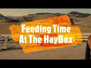 HayBox Automatic horse feeder. Customer video of our single long feeder in action.