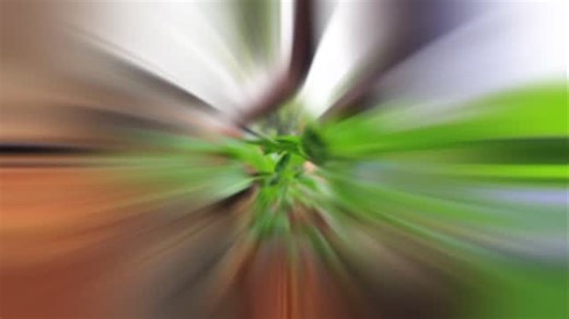 When growing capsicum, it’s important to remove the small shoots that develop between the main stem and branches. These shoots may look harmless, but they actually compete with the plant for nutrients and energy. As much as leaves are important for photosynthesis, too many shoots can slow down growth and reduce fruit production. By pruning them early, you help the plant channel its nutrients into forming stronger stems, healthy foliage, and bigger fruits. This simple practice not only improves a