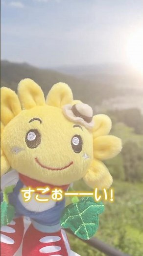 つなっぺ、感動する
