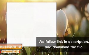 【绘画过程】Abigail Williams【FGO】