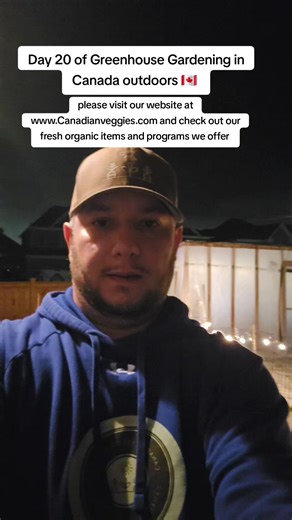 Day 20 of Greenhouse Gardening in Canada outdoors 🇨🇦 Let's take a gander! (Night Time) Rip Dad ♥️ please visit our website at www.Canadianveggies.com and check out our fresh organic items and programs we offer #creatorsearchinsights #canadiantiktok #fyp #greenhousegardening #gardening