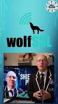 #3min Pico and RP2350: Unleashing A Simple Flash Security Attack and How to Shield Your App!