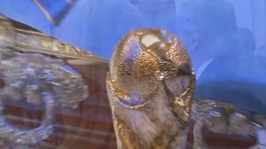 Decimos adiós al 2020 con algunas de sus noticias más destacadas | El Correo