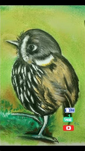 Learn on Monday Classes: Master Cute Crescent faced Antpitta Easy: Step-by-Stepl Pastels Tutorial!"