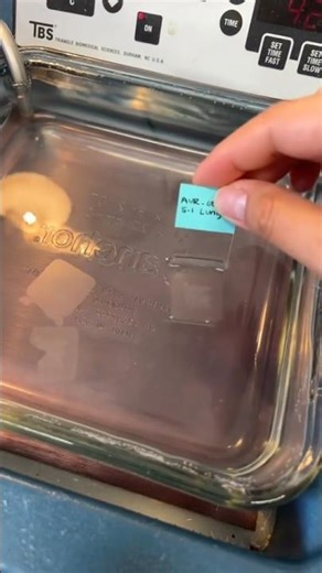 Histopathology Microtome Technique