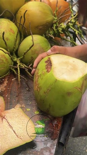 I Tried The World's Best Coconut